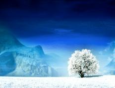 开云体育在线-意甲焦点战之夜，劳塔罗浓眉闪耀，国米擒尤文登顶积分榜