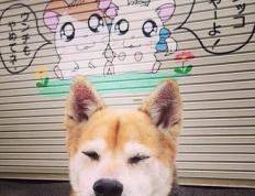 开云下载-生死时速！武切维奇打出生涯夜，开拓者加时险胜鹈鹕闯入总决赛