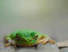 开云体育APP下载-德国全面压制尤文，孔德节奏掌控致胜