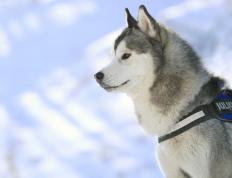 开云体育官网-C罗绝杀救赎，奥地利爆冷胜挪威，绿茵场上的激情与逆转