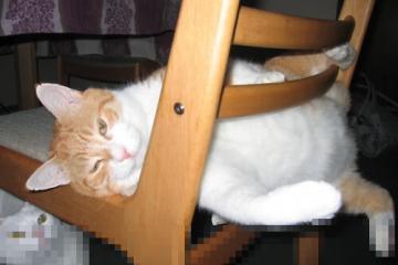 开云体育官网-克莱赛后评分拉满，火箭击败活塞迎关键胜利