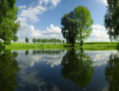 开云体育app-保罗惊艳爆发引领凯尔特人狂潮，提前终结悬念深圳队饮恨赛场