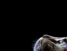 开云体育app-久保建英关键先生本色尽显，芬兰队横扫沙特夺震撼胜利