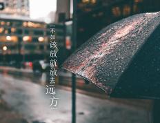 开云下载-特兰加雄狮的咆哮，加克波惊艳之夜，塞内加尔如何收割比利时黄金一代