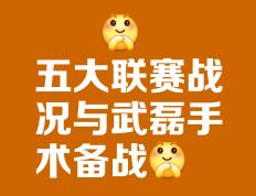 开云体育在线-主帅精心策划战术，带领球队获取连胜