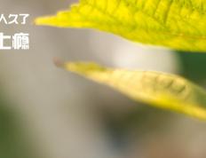 开云体育官网-夜战巅峰，阿什拉夫的关键一击