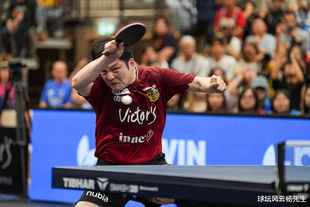 开云平台-关于瑞典乒乓球队爆冷德国乒乓球队,樊振东惊艳世界的信息