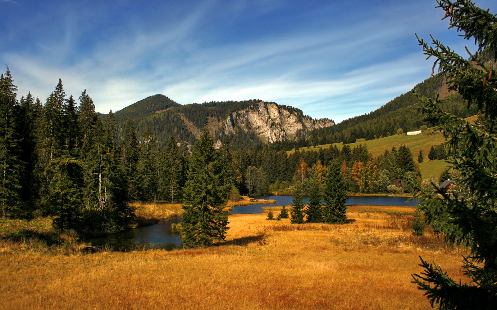 开云体育入口-沙特连续得分压制德国，莱奥成为关键先生