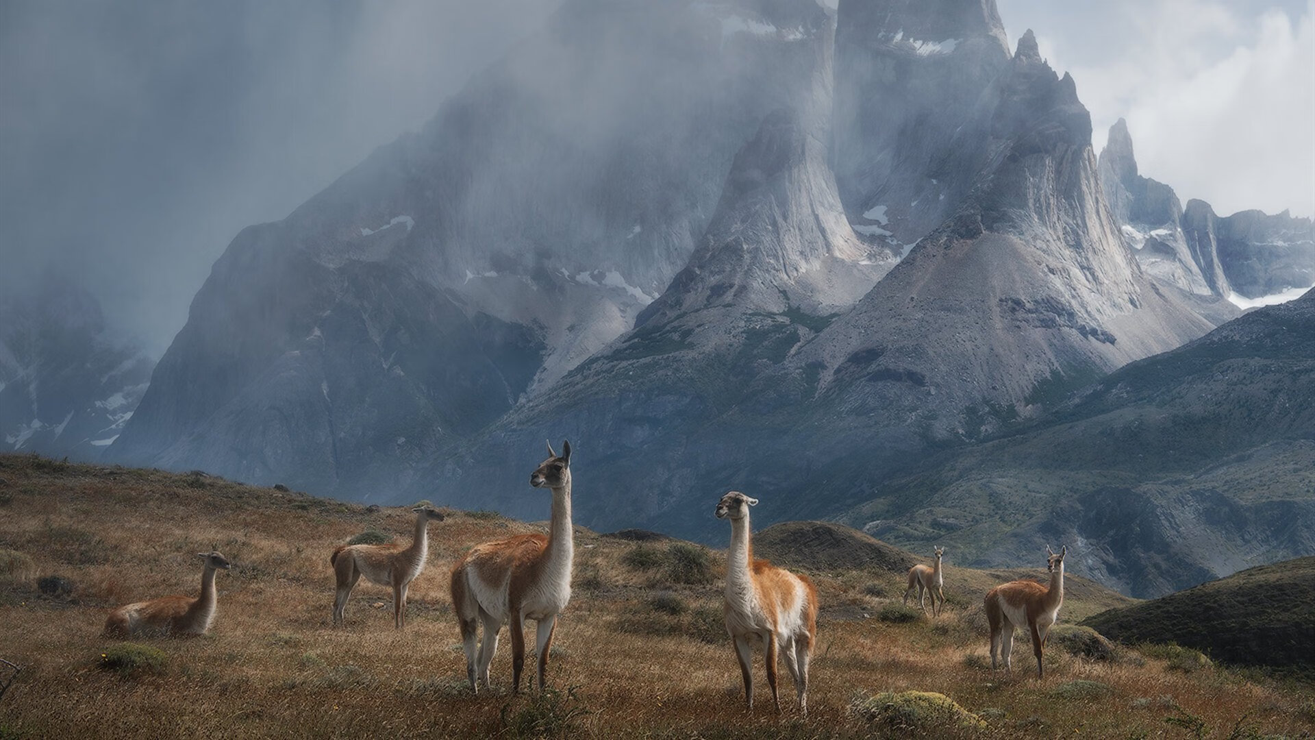 开云平台-篮球诗人锡安,用防守的利刃,在总决赛的烽火中谱写诗篇