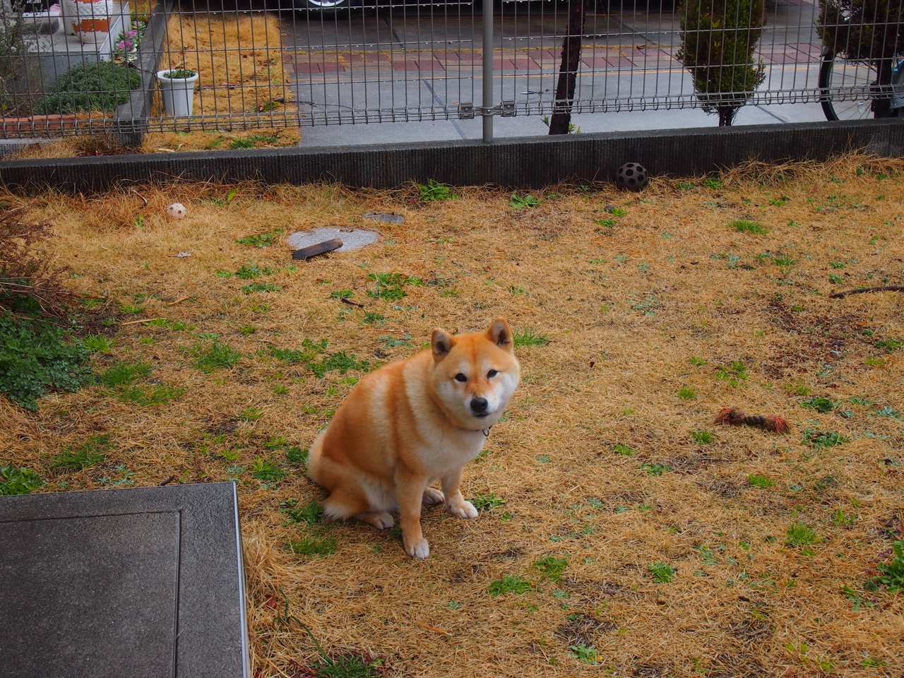 开云APP-努涅斯之夜，抢七绝境，谁人逆天改命