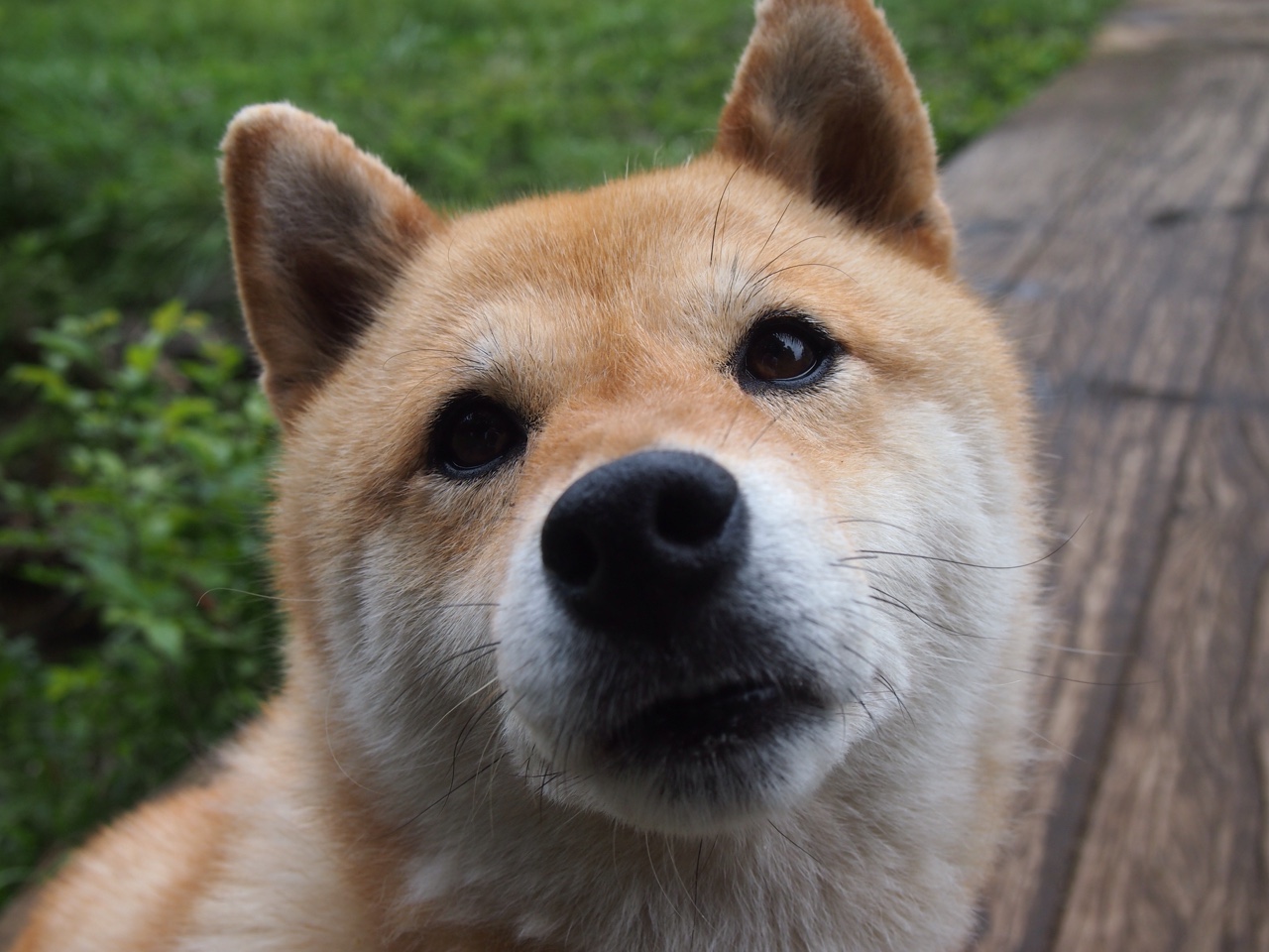 开云体育app-公牛 vs 猛龙，F1新赛季揭幕战焦点战实录