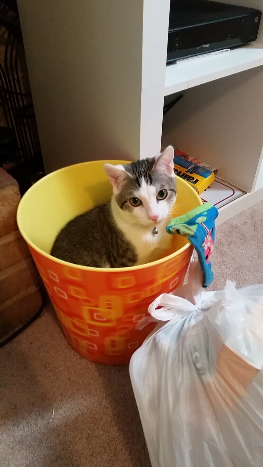 开云体育入口-浙江队淘汰赛力克火箭，切特关键先生定乾坤