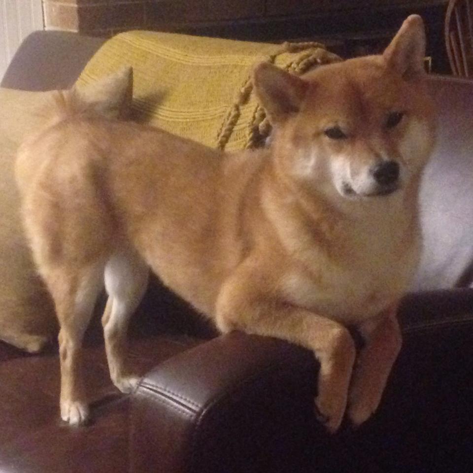 开云体育入口-东决夜神降临，克瓦拉茨赫利亚的压制级表演书写冰火传奇