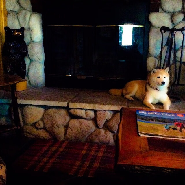 开云体育在线-意甲焦点战之夜，劳塔罗浓眉闪耀，国米擒尤文登顶积分榜