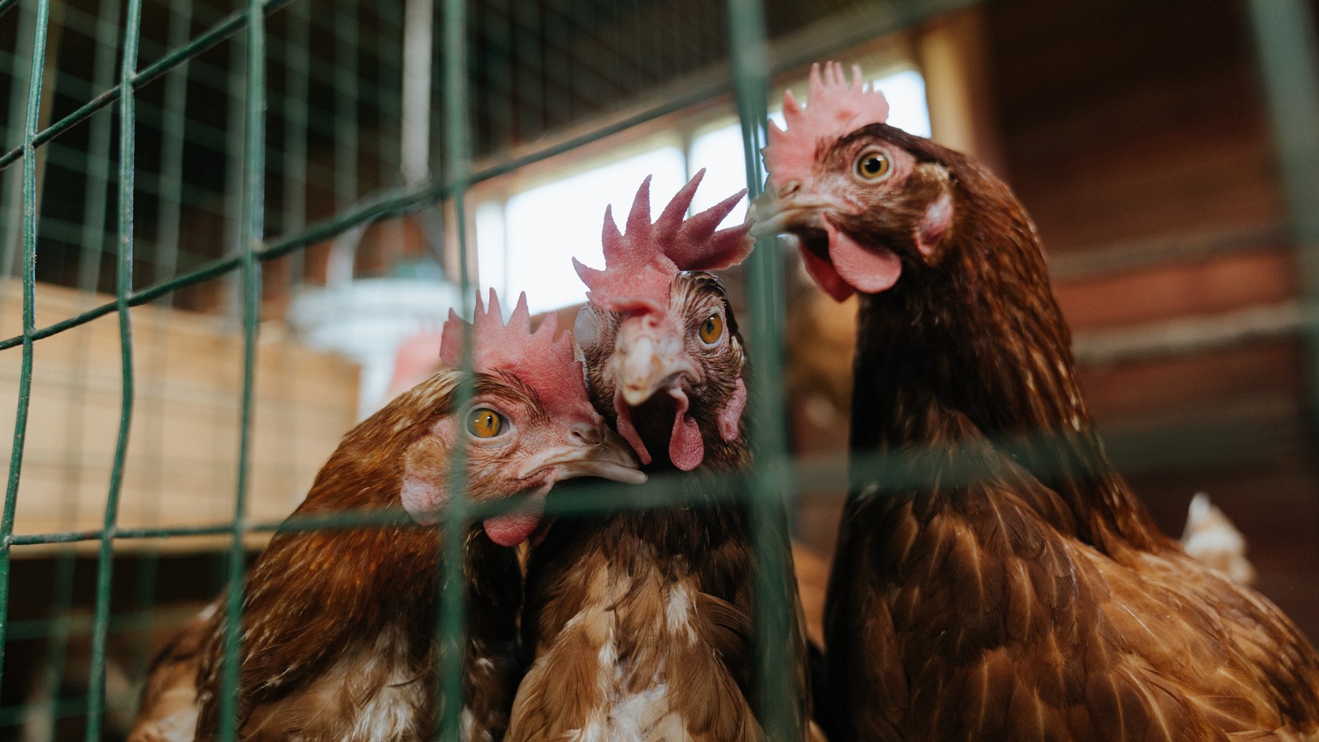 开云体育APP下载-切尔西友谊赛狂胜巴拉圭,格纳布里状态火热引爆全场