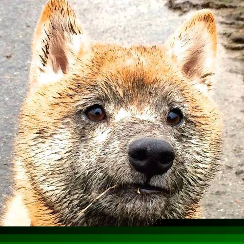 开云体育登录-绝杀与缠斗，当卡塔尔用坚韧刺穿墨西哥，佩德里用持续的刀刃重绘足球美学