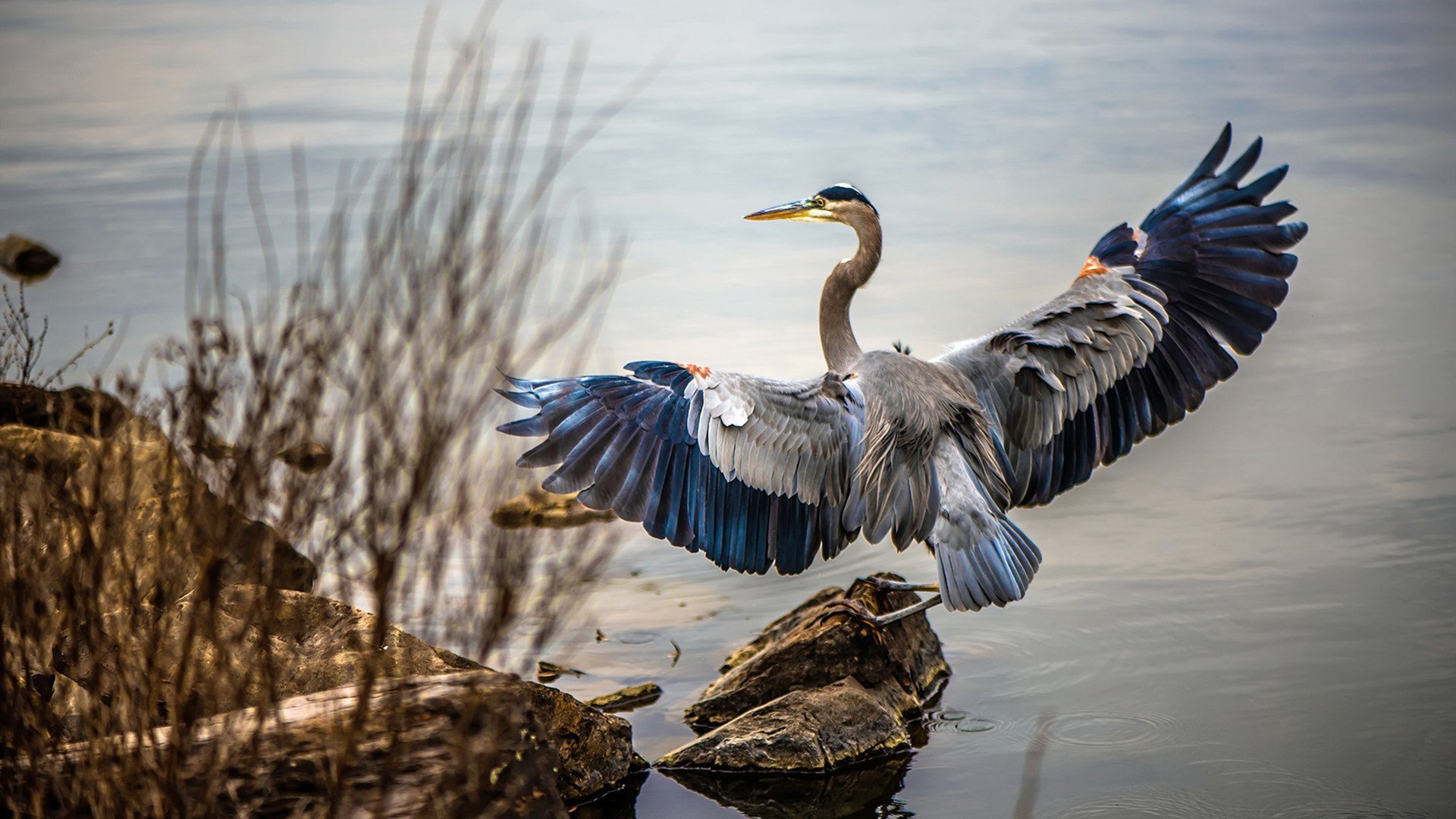 开云体育app-被叼走太阳的黄昏，当贝恩成为那枚逆光的棋子