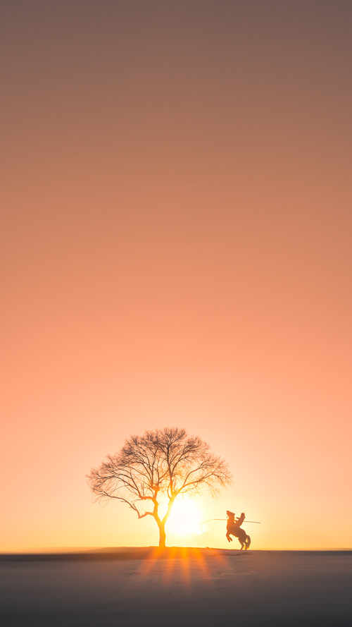 开云体育中国-王座坍塌夜，国王加冕时，霍勒迪—那个被低估的关键先生