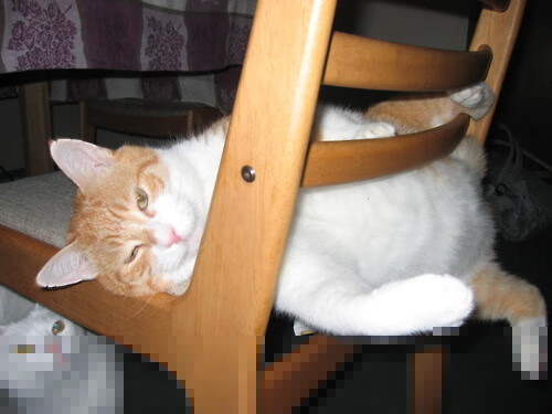 开云体育官网-克莱赛后评分拉满,火箭击败活塞迎关键胜利