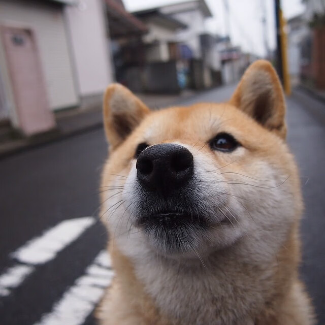 开云官网-亚洲风暴！广厦掀翻老鹰，浓眉定江山成关键先生
