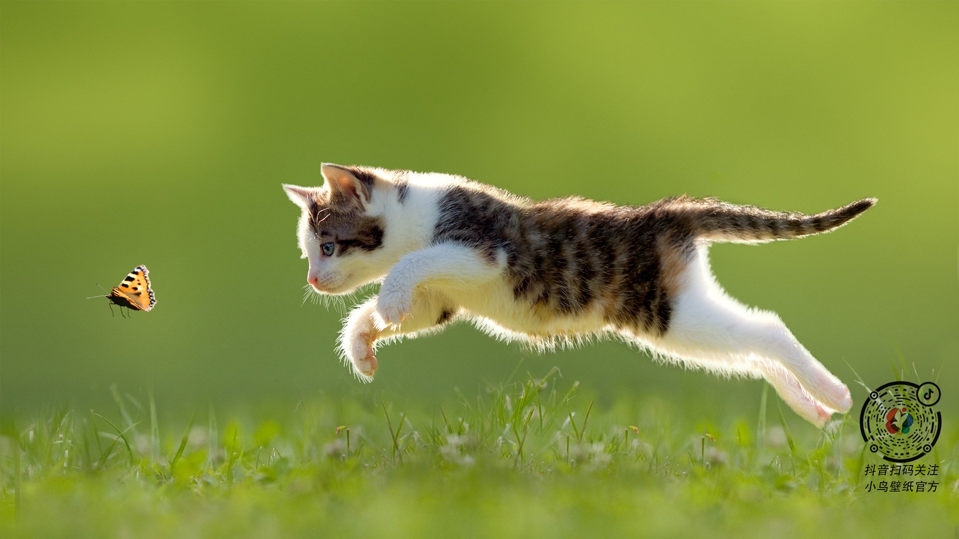 开云官网-欧冠烽烟中，哈登是今夜的总导演