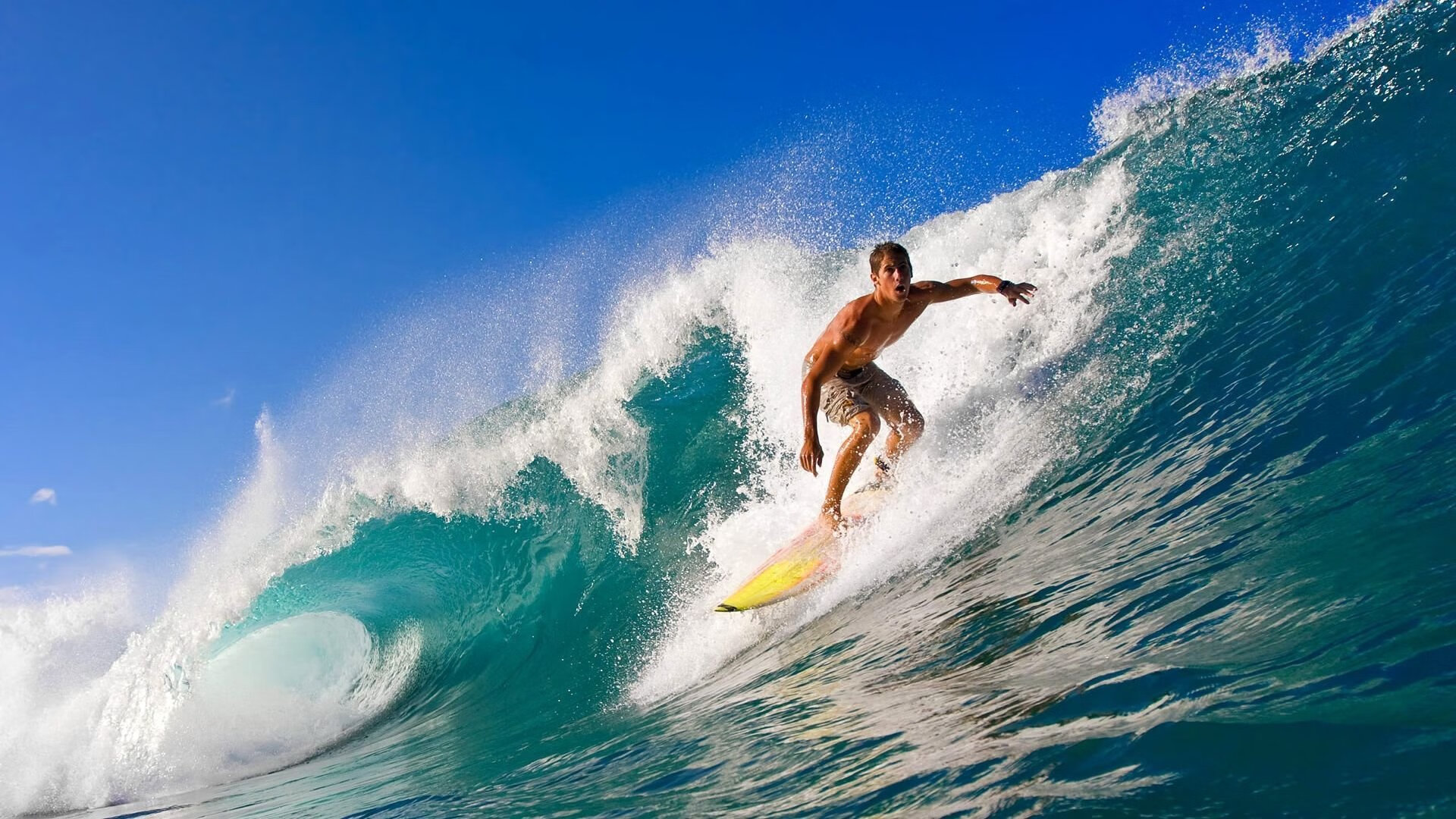 开云体育APP下载-双线奏凯，竞技体育的胜利交响曲