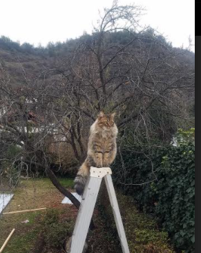 开云体育APP下载-东隅淬火西隅光，当团队淬炼遇上英雄主义时刻