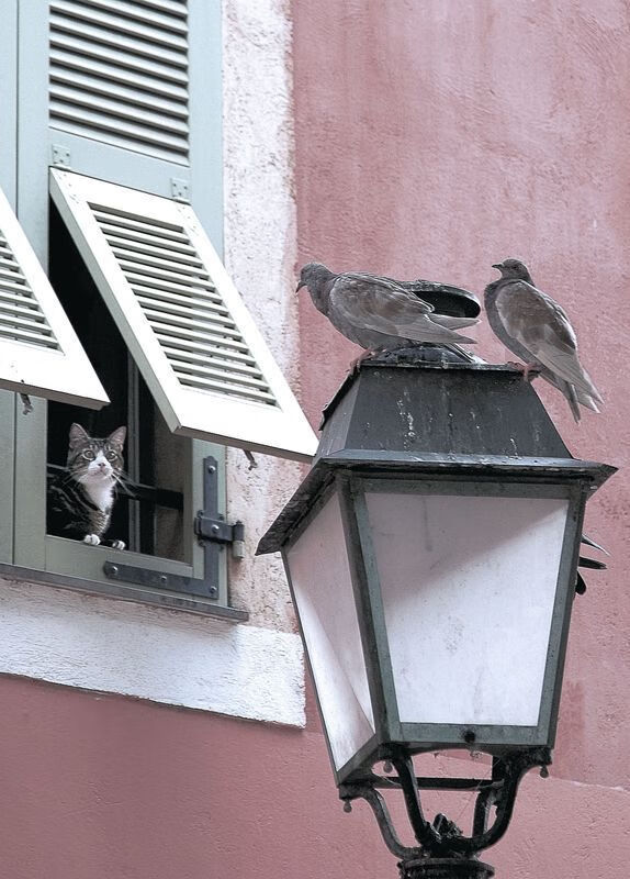 开云官网-封神之夜，东决天王山，凯恩演绎何为压制级艺术